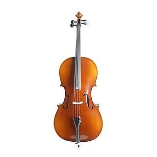 Виолончель KARL HEINLICH THC-30L 1/2 купить в Москве: цены, доставка, фото