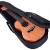 Укулеле Enya EUT-25D купить в Москве: цены, доставка, фото Укулеле Enya EUT-25D купить в Москве: цены, доставка, фото