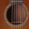TAKAMINE LEGACY TF77-PT электроакустическая гитара типа ORCHESTRA, цвет натуральный купить в Москве: цены, доставка, фото TAKAMINE LEGACY TF77-PT электроакустическая гитара типа ORCHESTRA, цвет натуральный купить в Москве: цены, доставка, фото