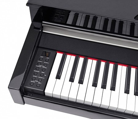 Цифровое пианино Kurzweil Andante CUP110 BP черное, полированное, с банкеткой купить в Москве: цены, доставка, фото Цифровое пианино Kurzweil Andante CUP110 BP черное, полированное, с банкеткой купить в Москве: цены, доставка, фото