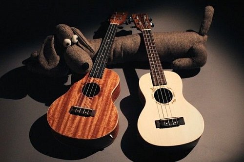 Укулеле FLIGHT DUC 325 CEQ SP/ZEB купить в Москве: цены, доставка, фото Укулеле FLIGHT DUC 325 CEQ SP/ZEB купить в Москве: цены, доставка, фото