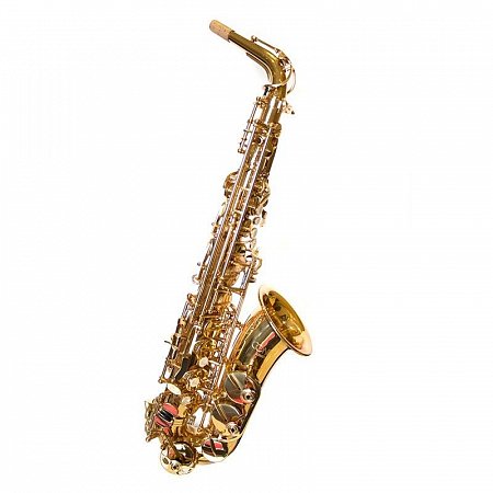 Саксофон-альт CONN AS-651 Арт 123620 купить в Москве: цены, доставка, фото