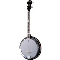 Банджо купить в Москве: цены, доставка, фото Банджо купить в Москве: цены, доставка, фото