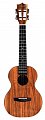Укулеле Enya EUT-X1 купить в Москве: цены, доставка, фото Укулеле Enya EUT-X1 купить в Москве: цены, доставка, фото