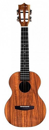 Укулеле Enya EUT-X1 купить в Москве: цены, доставка, фото Укулеле Enya EUT-X1 купить в Москве: цены, доставка, фото