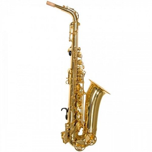 Альт саксофон Trevor James Alphasax 371A ученический для детей купить в Москве: цены, доставка, фото Альт саксофон Trevor James Alphasax 371A ученический для детей купить в Москве: цены, доставка, фото