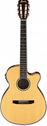 IBANEZ AEG10NII-NT гитара электроакустическая с нейлоновыми струнами купить в Москве: цены, доставка, фото IBANEZ AEG10NII-NT гитара электроакустическая с нейлоновыми струнами купить в Москве: цены, доставка, фото