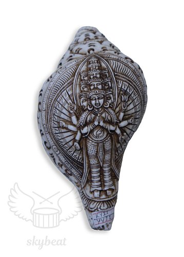 Поющая раковина Shankha Carving продажа в Москве Поющая раковина Shankha Carving купить в Москве: цены, доставка, фото