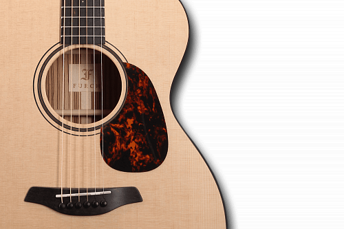 FURCH Blue D-SA Акустическая гитара купить в Москве: цены, доставка, фото FURCH Blue D-SA Акустическая гитара купить в Москве: цены, доставка, фото