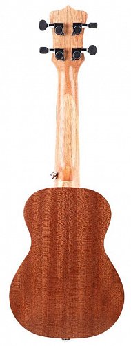 Укулеле Enya EUC-20 купить в Москве: цены, доставка, фото Укулеле Enya EUC-20 купить в Москве: цены, доставка, фото
