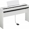 YAMAHA P-115WH цифровое пианино купить в Москве: цены, доставка, фото YAMAHA P-115WH цифровое пианино купить в Москве: цены, доставка, фото
