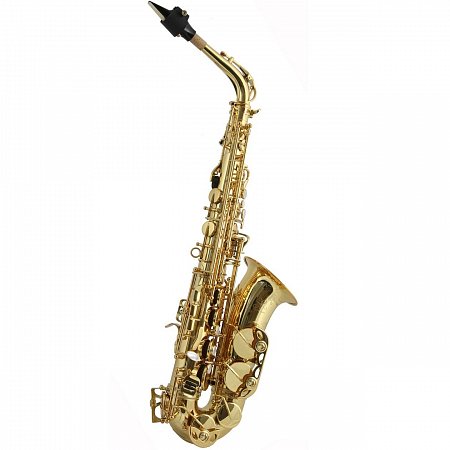 Альт саксофон Trevor James SR 374SR-KK купить в Москве: цены, доставка, фото Альт саксофон Trevor James SR 374SR-KK купить в Москве: цены, доставка, фото