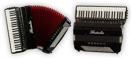 Аккордеон Fisitalia Bayan P купить в Москве: цены, доставка, фото Аккордеон Fisitalia Bayan P купить в Москве: цены, доставка, фото