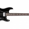 FENDER STANDARD STRATOCASTER RW HH BLK электрогитара, цвет черный купить в Москве: цены, доставка, фото FENDER STANDARD STRATOCASTER RW HH BLK электрогитара, цвет черный купить в Москве: цены, доставка, фото