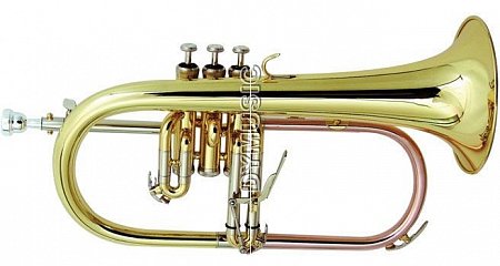 Флюгельгорн WISEMANN FLH-300 купить в Москве: цены, доставка, фото Флюгельгорн WISEMANN FLH-300 купить в Москве: цены, доставка, фото