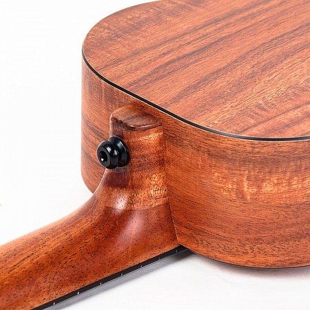 Укулеле Enya EUC-X1 купить в Москве: цены, доставка, фото Укулеле Enya EUC-X1 купить в Москве: цены, доставка, фото