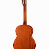 AC100-OP Classic Series Классическая гитара, Cort купить в Москве: цены, доставка, фото AC100-OP Classic Series Классическая гитара, Cort купить в Москве: цены, доставка, фото