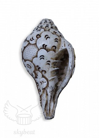 Поющая раковина Shankha Carving продажа в Москве Поющая раковина Shankha Carving купить в Москве: цены, доставка, фото