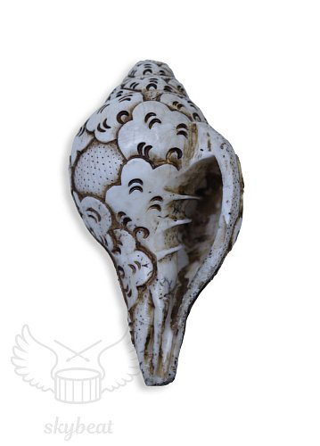 Поющая раковина Shankha Carving продажа в Москве Поющая раковина Shankha Carving купить в Москве: цены, доставка, фото
