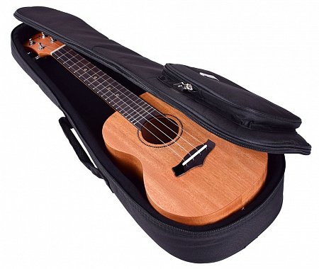 Укулеле Enya EUS-25D купить в Москве: цены, доставка, фото Укулеле Enya EUS-25D купить в Москве: цены, доставка, фото