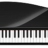 KORG microPIANO миниатюрное цифровое пианино купить в Москве: цены, доставка, фото KORG microPIANO миниатюрное цифровое пианино купить в Москве: цены, доставка, фото