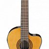 IBANEZ GA6CE-AM электроакустическая классическая гитара с вырезом купить в Москве: цены, доставка, фото IBANEZ GA6CE-AM электроакустическая классическая гитара с вырезом купить в Москве: цены, доставка, фото