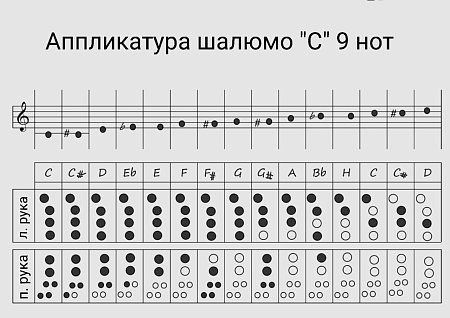 Шалюмо "C" 9 нот, 2 сдвоенных продажа в Москве Шалюмо "C" 9 нот, 2 сдвоенных купить в Москве: цены, доставка, фото