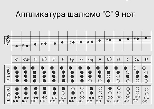 Шалюмо "C" 9 нот, 2 сдвоенных продажа в Москве Шалюмо "C" 9 нот, 2 сдвоенных купить в Москве: цены, доставка, фото