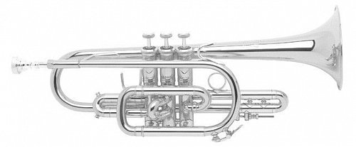 Корнет Bb BACH 184SML Stradivarius купить в Москве: цены, доставка, фото Корнет Bb BACH 184SML Stradivarius купить в Москве: цены, доставка, фото