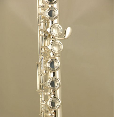 Комплект Флейта WISEMANN 0901FL купить в Москве: цены, доставка, фото Комплект Флейта WISEMANN 0901FL купить в Москве: цены, доставка, фото