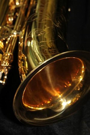 ROY BENSON BS-302 баритон саксофон купить в Москве: цены, доставка, фото ROY BENSON BS-302 баритон саксофон купить в Москве: цены, доставка, фото