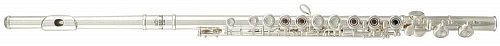ROY BENSON FL-402R флейта (открытые клапана в линию) купить в Москве: цены, доставка, фото ROY BENSON FL-402R флейта (открытые клапана в линию) купить в Москве: цены, доставка, фото