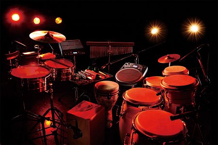 ROLAND HPD-20 Hand Sonic купить в Москве: цены, доставка, фото ROLAND HPD-20 Hand Sonic купить в Москве: цены, доставка, фото