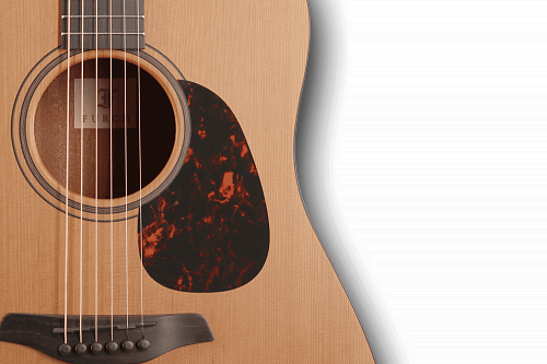 FURCH Indigo G-CYАкустическая гитара купить в Москве: цены, доставка, фото FURCH Indigo G-CYАкустическая гитара купить в Москве: цены, доставка, фото