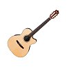 IBANEZ GM600CE-NT классическая электроакустическая гитара с нейлоновыми струнами купить в Москве: цены, доставка, фото IBANEZ GM600CE-NT классическая электроакустическая гитара с нейлоновыми струнами купить в Москве: цены, доставка, фото