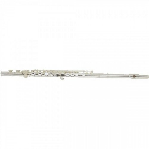 Флейта С BOSTON F-104S купить в Москве: цены, доставка, фото Флейта С BOSTON F-104S купить в Москве: цены, доставка, фото