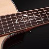 FURCH Red Dc-SR Акустическая гитара с кейсом купить в Москве: цены, доставка, фото FURCH Red Dc-SR Акустическая гитара с кейсом купить в Москве: цены, доставка, фото