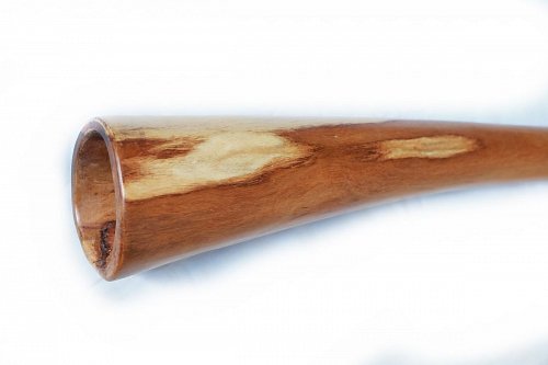 Диджериду из Эвкалипта – До# – 150 см (Вес:3,6кг) продажа в Москве Диджериду из Эвкалипта – До# – 150 см (Вес:3,6кг) купить в Москве: цены, доставка, фото