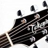 TAKAMINE LEGACY EF341SC электроакустическая гитара с кейсом купить в Москве: цены, доставка, фото TAKAMINE LEGACY EF341SC электроакустическая гитара с кейсом купить в Москве: цены, доставка, фото