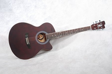 Акустическая гитара Berrio WA купить в Москве: цены, доставка, фото Акустическая гитара Berrio WA купить в Москве: цены, доставка, фото