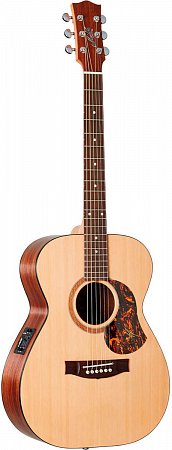 Гитара Maton SRS808 купить в Москве: цены, доставка, фото