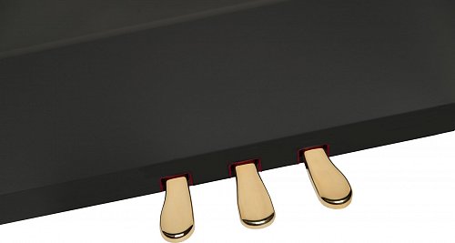 ROLAND HP605-PE цифровое фортепиано_1-я часть комплекта купить в Москве: цены, доставка, фото ROLAND HP605-PE цифровое фортепиано_1-я часть комплекта купить в Москве: цены, доставка, фото