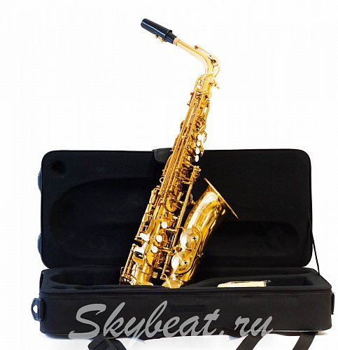 Саксофон Альт Condor CAS-460 купить в Москве: цены, доставка, фото Саксофон Альт Condor CAS-460 купить в Москве: цены, доставка, фото