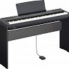 YAMAHA P-115B цифровое пианино купить в Москве: цены, доставка, фото YAMAHA P-115B цифровое пианино купить в Москве: цены, доставка, фото