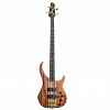 PEAVEY Cirrus 4 Figured Mahagony 4-струнная бас-гитара купить в Москве: цены, доставка, фото PEAVEY Cirrus 4 Figured Mahagony 4-струнная бас-гитара купить в Москве: цены, доставка, фото