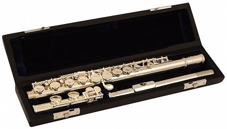 ROY BENSON FL-402R флейта (открытые клапана в линию) купить в Москве: цены, доставка, фото ROY BENSON FL-402R флейта (открытые клапана в линию) купить в Москве: цены, доставка, фото