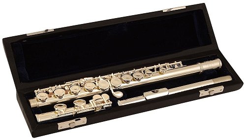 ROY BENSON FL-402R флейта (открытые клапана в линию) купить в Москве: цены, доставка, фото ROY BENSON FL-402R флейта (открытые клапана в линию) купить в Москве: цены, доставка, фото