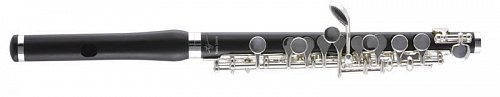 Флейта-пикколо Trevor James Vivace P1 купить в Москве: цены, доставка, фото Флейта-пикколо Trevor James Vivace P1 купить в Москве: цены, доставка, фото