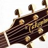 TAKAMINE LEGACY EF508KC электроакустическая гитара типа NEX CUTAWAY с кейсом купить в Москве: цены, доставка, фото TAKAMINE LEGACY EF508KC электроакустическая гитара типа NEX CUTAWAY с кейсом купить в Москве: цены, доставка, фото