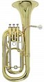 ROY BENSON BH-301 Bb баритон, 3 помповый купить в Москве: цены, доставка, фото ROY BENSON BH-301 Bb баритон, 3 помповый купить в Москве: цены, доставка, фото